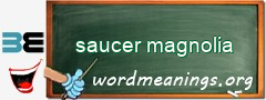 WordMeaning blackboard for saucer magnolia